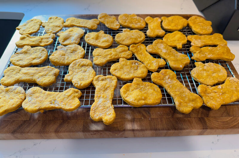 Pumpkin & Peanut Butter Dog Treats